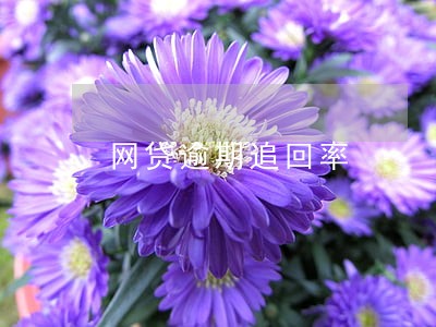 网贷逾期追回率 网贷逾期追回率
