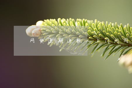 网贷逾期追款人上门问同不同意 网贷逾期追款人上门问同不同意
