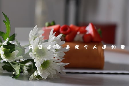 网贷逾期追究个人违约责任 网贷逾期追究个人违约责任