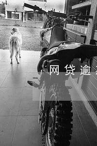 网贷逾期追究什么责任 网贷逾期追究什么责任