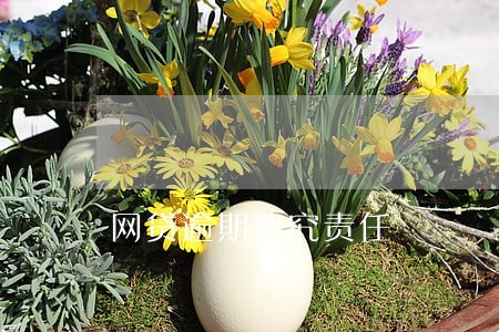 网贷逾期追究责任 网贷逾期追究责任