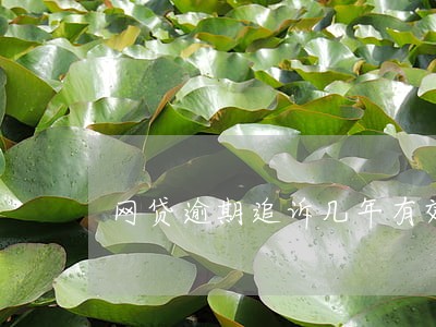 网贷逾期追诉几年有效期 网贷逾期追诉几年有效期