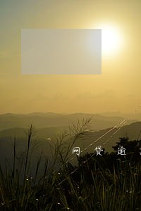 网贷逾期退保 网贷逾期退保