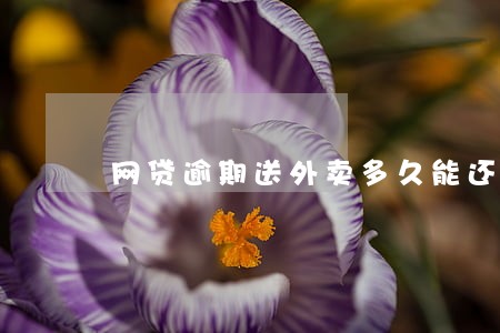 网贷逾期送外卖多久能还完 网贷逾期送外卖多久能还完
