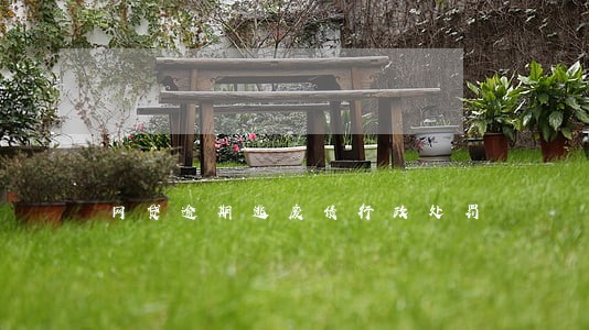 网贷逾期逃废债行政处罚 网贷逾期逃废债行政处罚