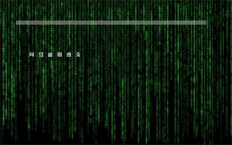网贷逾期透支 网贷逾期透支
