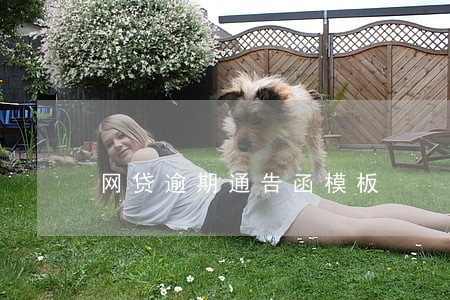 网贷逾期通告函模板 网贷逾期通告函模板