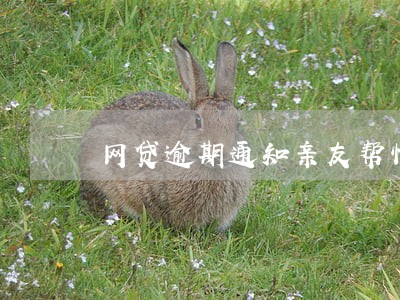 网贷逾期通知亲友帮忙还款 网贷逾期通知亲友帮忙还款