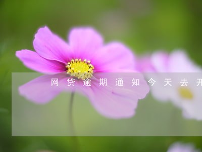 网贷逾期通知今天去开庭是真的吗 网贷逾期通知今天去开庭是真的吗