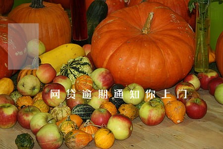 网贷逾期通知你上门 网贷逾期通知你上门