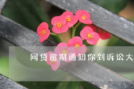 网贷逾期通知你到诉讼大厅 网贷逾期通知你到诉讼大厅