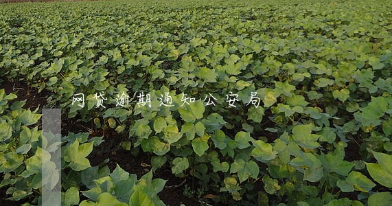 网贷逾期通知公安局 网贷逾期通知公安局