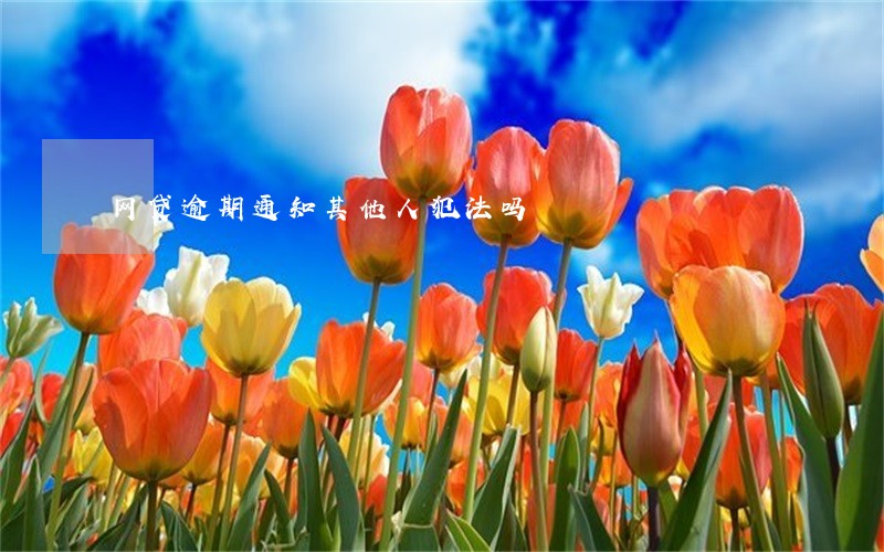 网贷逾期通知其他人犯法吗
