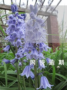网贷逾期通知函是什么意思 网贷逾期通知函是什么意思