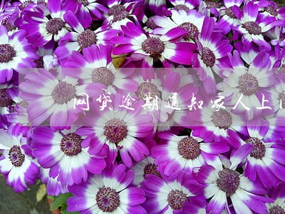 网贷逾期通知家人上门家访