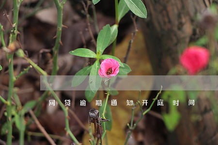网贷逾期通知开庭时间 网贷逾期通知开庭时间