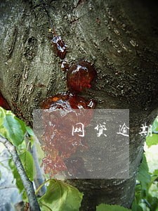 网贷逾期通知村委会全程录像 网贷逾期通知村委会全程录像