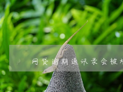 网贷逾期通讯录会被爆