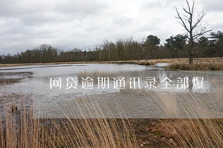 网贷逾期通讯录全部爆 网贷逾期通讯录全部爆