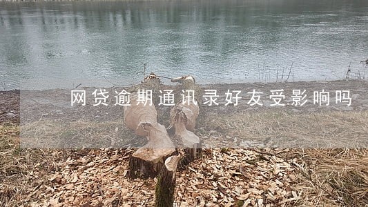 网贷逾期通讯录好友受影响吗