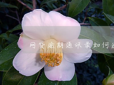 网贷逾期通讯录如何避免被骚扰 网贷逾期通讯录如何避免被骚扰