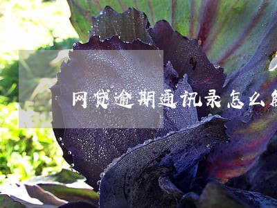 网贷逾期通讯录怎么解决