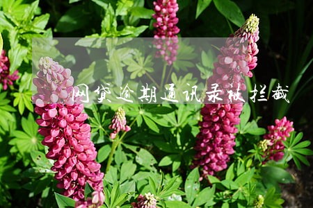 网贷逾期通讯录被拦截