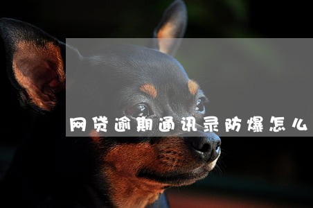 网贷逾期通讯录防爆怎么做 网贷逾期通讯录防爆怎么做