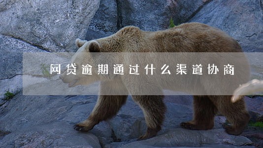 网贷逾期通过什么渠道协商 网贷逾期通过什么渠道协商