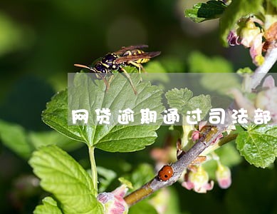 网贷逾期通过司法部门吗 网贷逾期通过司法部门吗