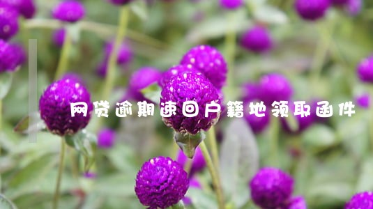 网贷逾期速回户籍地领取函件 网贷逾期速回户籍地领取函件