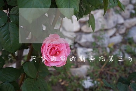 网贷逾期逾期委托第三方 网贷逾期逾期委托第三方