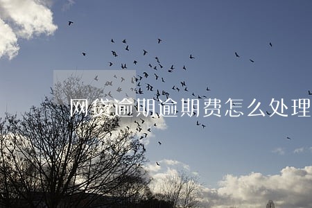 网贷逾期逾期费怎么处理 网贷逾期逾期费怎么处理