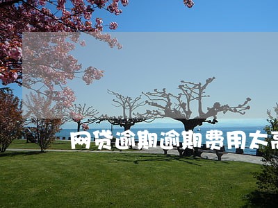 网贷逾期逾期费用太高 网贷逾期逾期费用太高