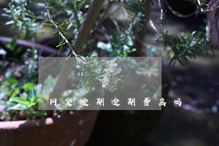 网贷逾期逾期费高吗 网贷逾期逾期费高吗