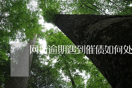 网贷逾期遇到催债如何处理 网贷逾期遇到催债如何处理