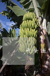 网贷逾期道德有问题吗 网贷逾期道德有问题吗