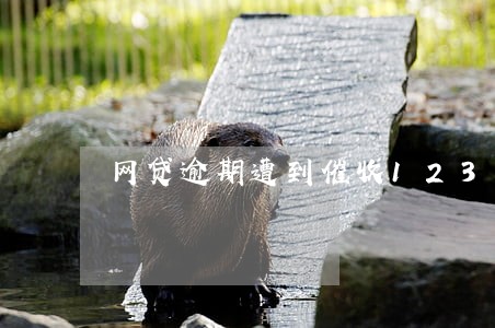 网贷逾期遭到催收123 网贷逾期遭到催收123