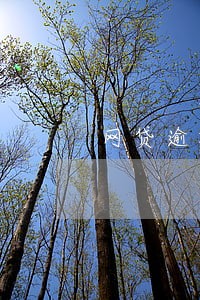 网贷逾期遭到恐吓怎么办 网贷逾期遭到恐吓怎么办