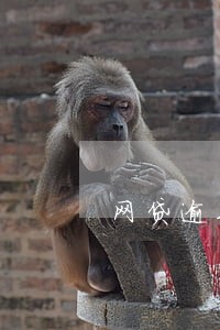 网贷逾期遭到电话威胁怎么办 网贷逾期遭到电话威胁怎么办