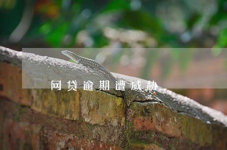 网贷逾期遭威胁 网贷逾期遭威胁