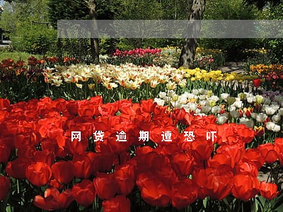 网贷逾期遭恐吓 网贷逾期遭恐吓