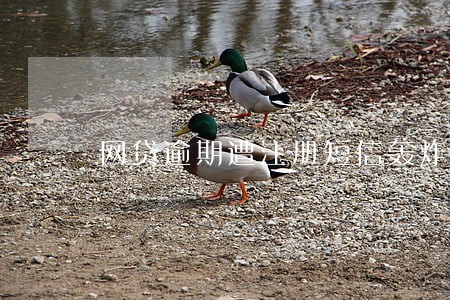 网贷逾期遭注册短信轰炸 网贷逾期遭注册短信轰炸