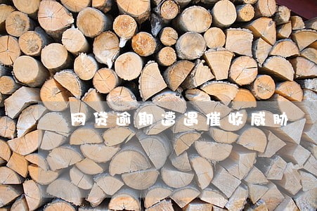 网贷逾期遭遇催收威胁 网贷逾期遭遇催收威胁
