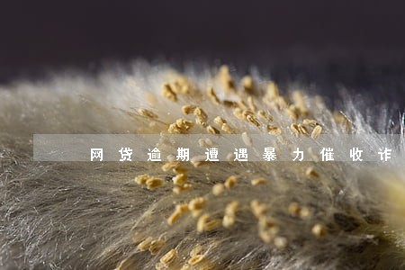 网贷逾期遭遇暴力催收诈骗 网贷逾期遭遇暴力催收诈骗