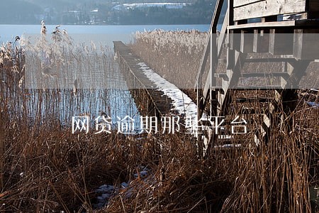 网贷逾期那些平台