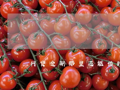网贷逾期那里还能借到钱 网贷逾期那里还能借到钱