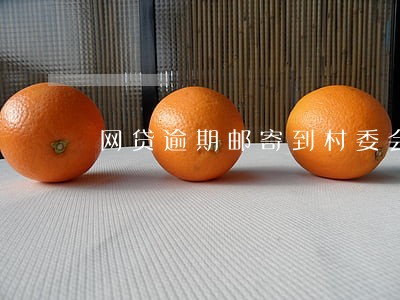 网贷逾期邮寄到村委会 网贷逾期邮寄到村委会
