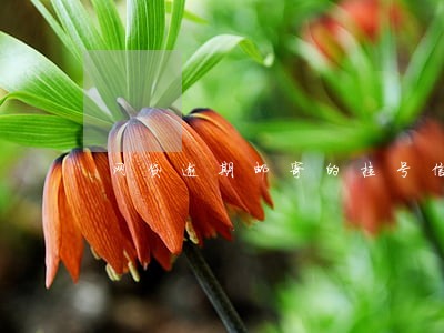 网贷逾期邮寄的挂号信怎么办 网贷逾期邮寄的挂号信怎么办