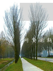 网贷逾期邮寄诉前通知函 网贷逾期邮寄诉前通知函